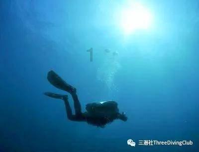 lpl买押注那个app靠谱点的